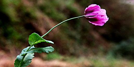 《理智边缘》 9月登陆多平台 克苏鲁风生存恐怖